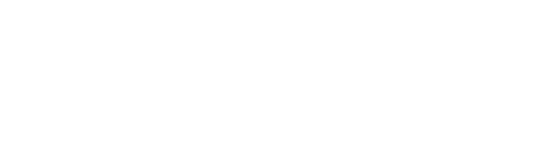 Gatti Seregno